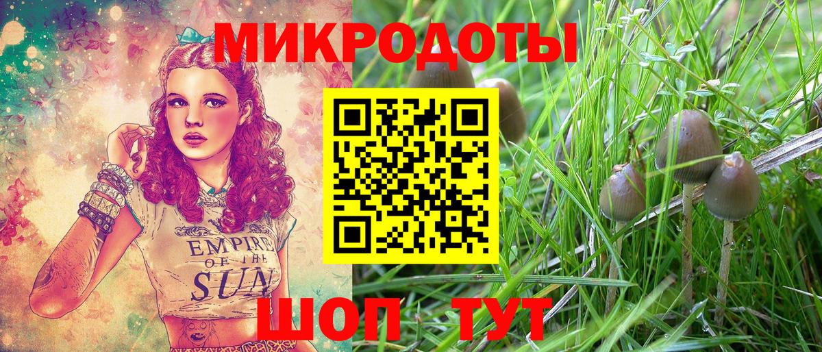 Каспийск  Псилоцибиновые грибы Psilocybe  Вход с VPN 